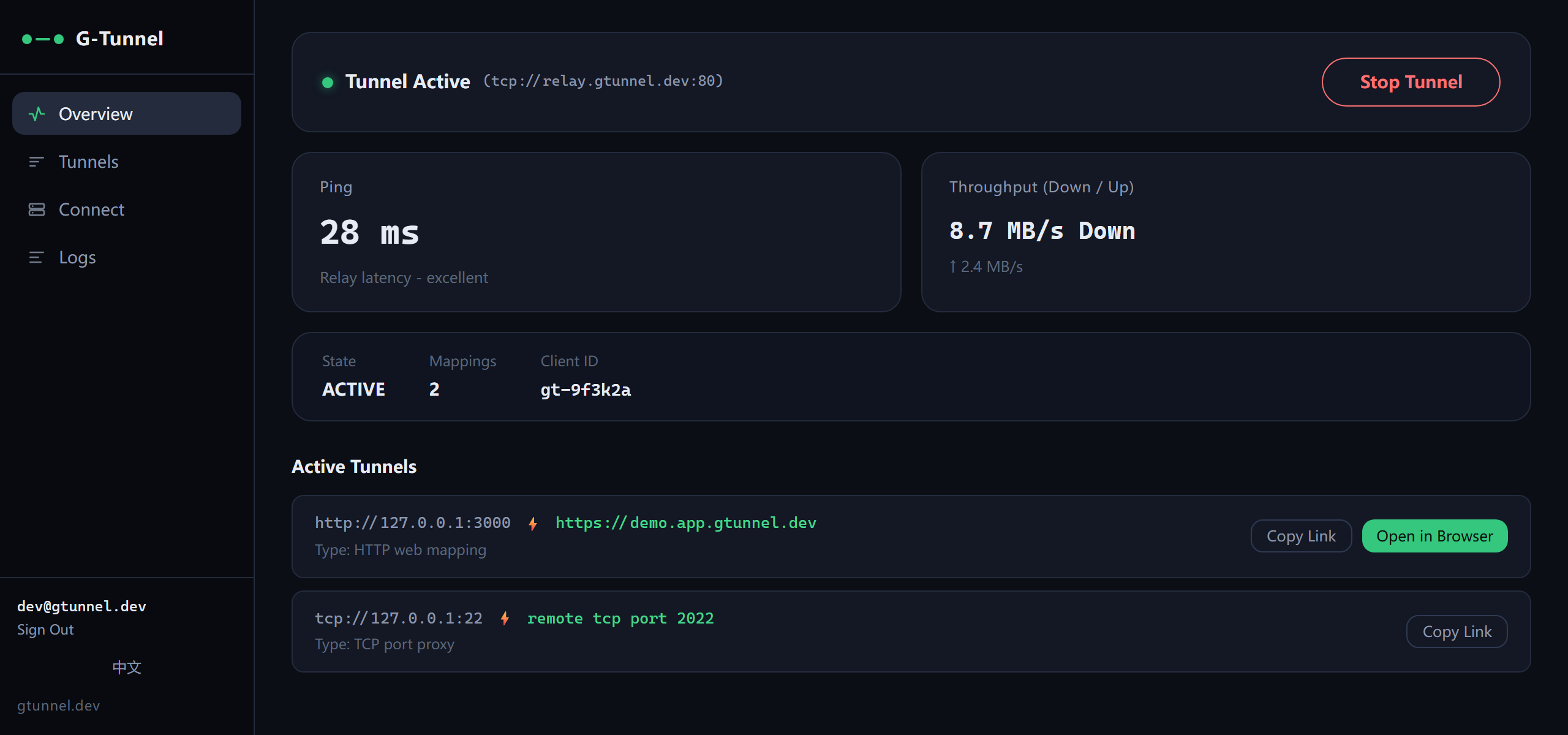 GT-Desktop dashboard: active tunnels with live throughput and latency